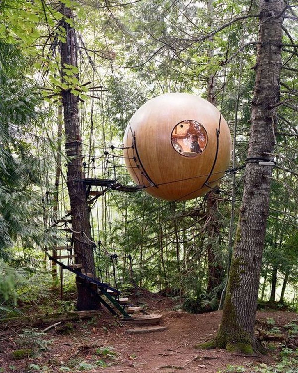 Stunning Tree House Designs You Never Seen Before 25