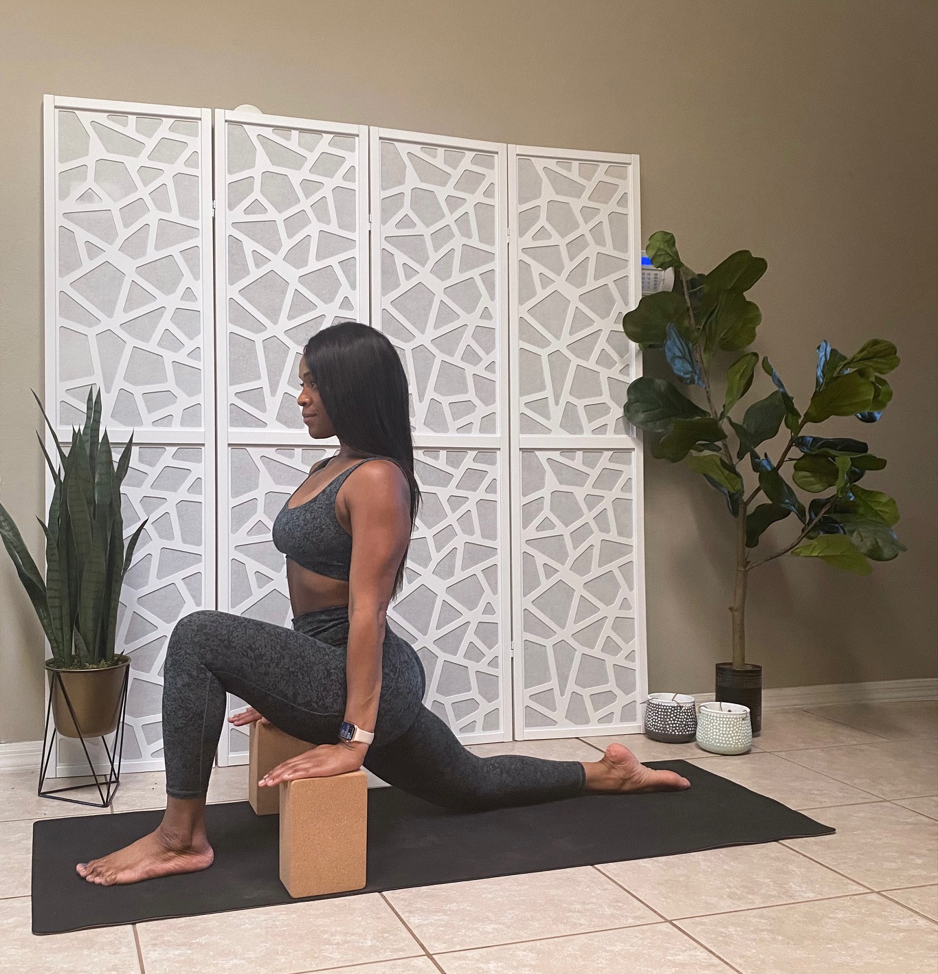 low-lunge-hip-flexor-stretchg-dog-pose-with-yoga-blocks-busy-yoga-mom