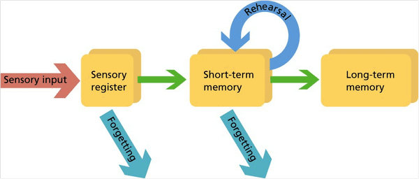 short-term causes