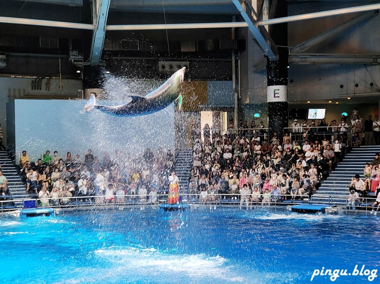 東京景點｜Maxell Aqua Park品川水族館 精彩的海豚表演 絢麗的水母館 是品川必去的室內景點