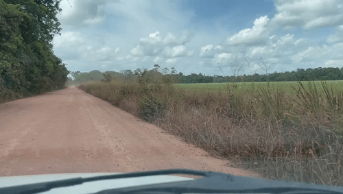 Trecho da estrada que liga a BR-163 ao município de Belterra, cuja área rural é, em sua maioria, tomada por plantações de soja.