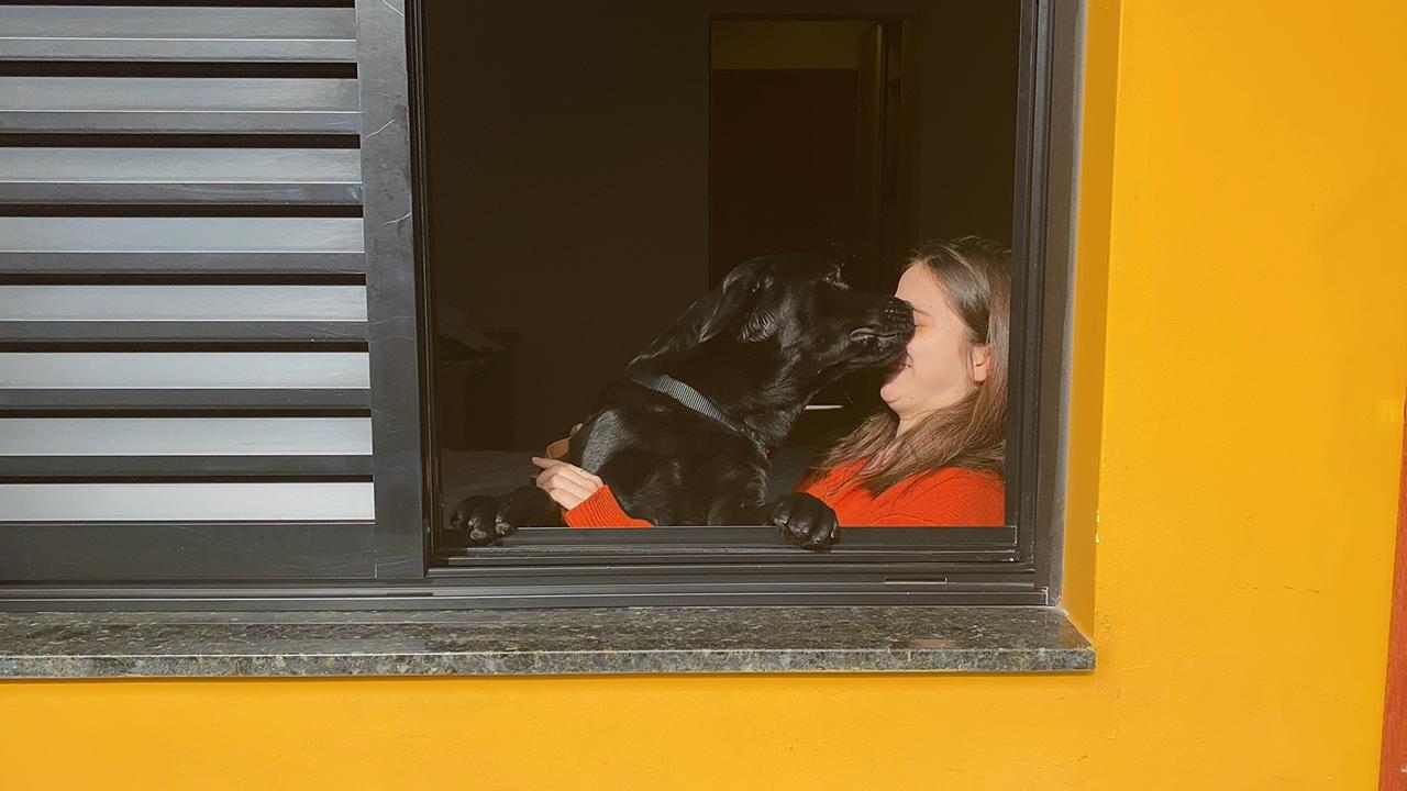 Maria Stockler Carvalhosa e o labrador Café na janela do Instituto Magnus