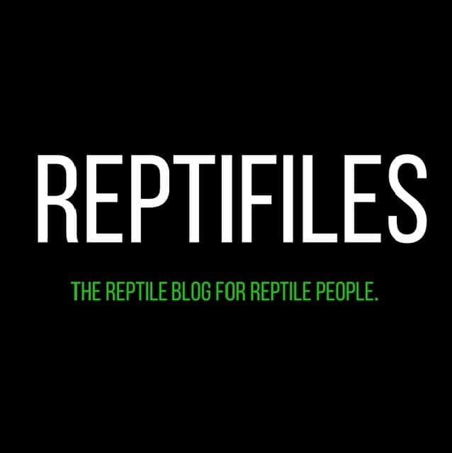 Reptifiles