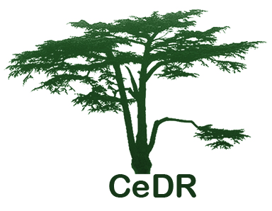 Centre for Disability Research (CeDR)