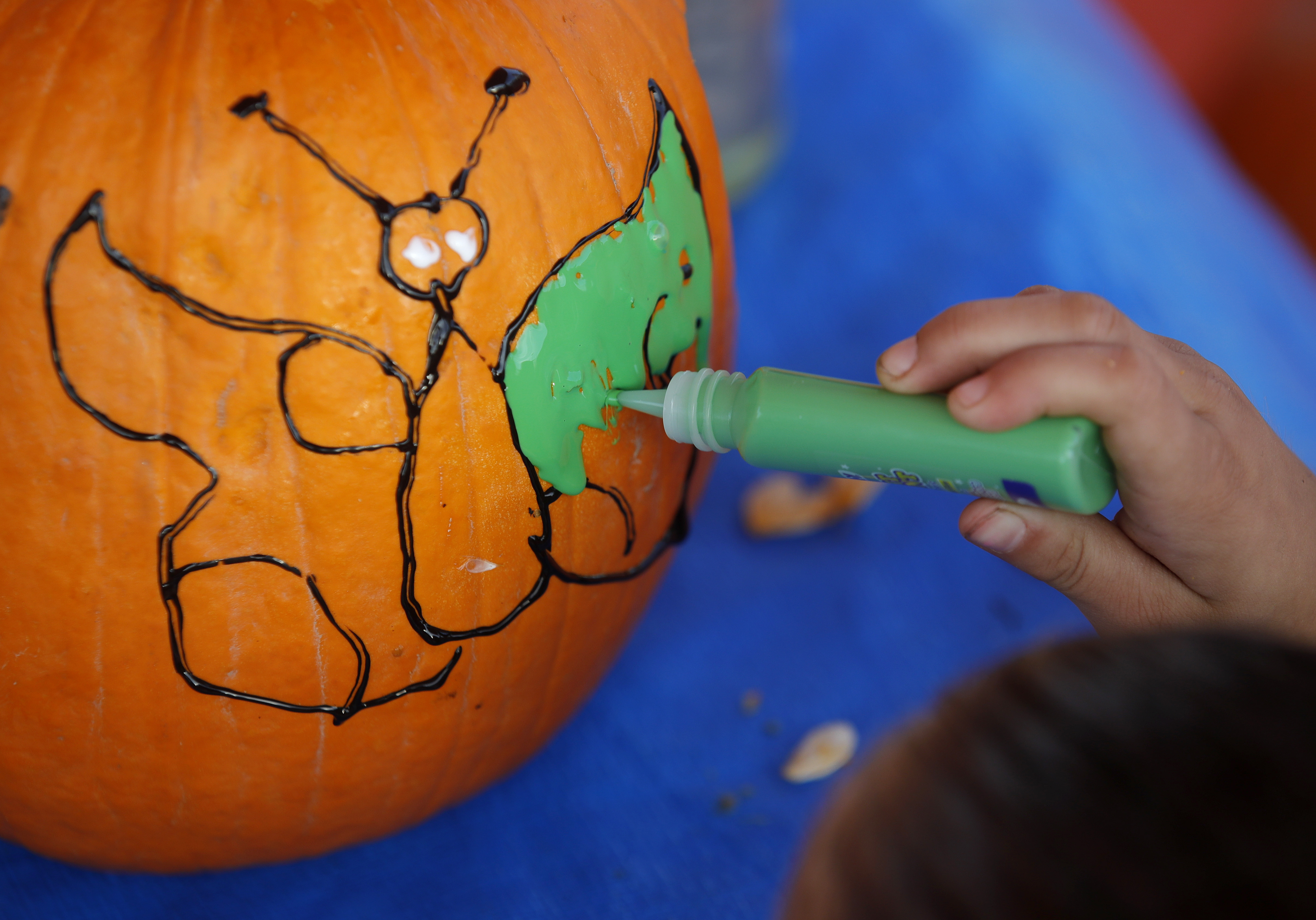 Melanie Gomez, 5, decorates a pumpkin at ABC Tree Farms & Pick of the Patch in San Lorenzo, Calif., on Monday, Oct. 23, 2023. (Jane Tyska/Bay Area News Group)