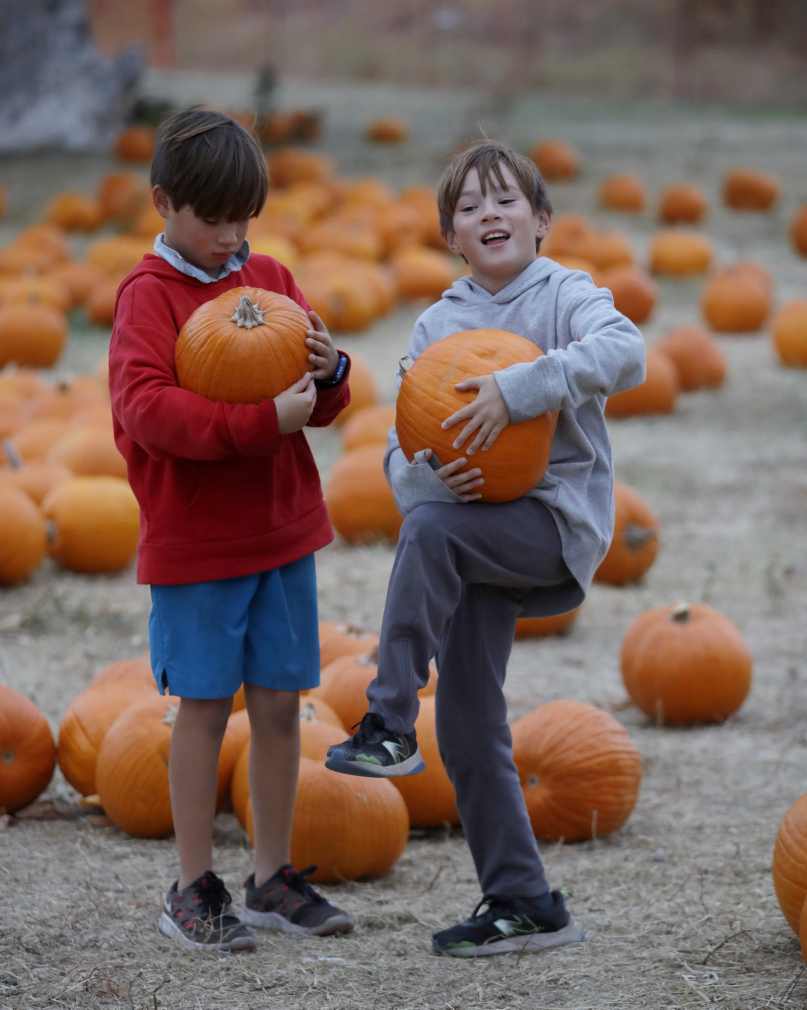 Evan Benshoof, right, and his twin brother Ryan, 9, of Livermore, pick out pumpkins at Joan's Farm & Pumpkin Patch in Livermore, Calif., on Wednesday, Oct. 25, 2023. (Jane Tyska/Bay Area News Group)