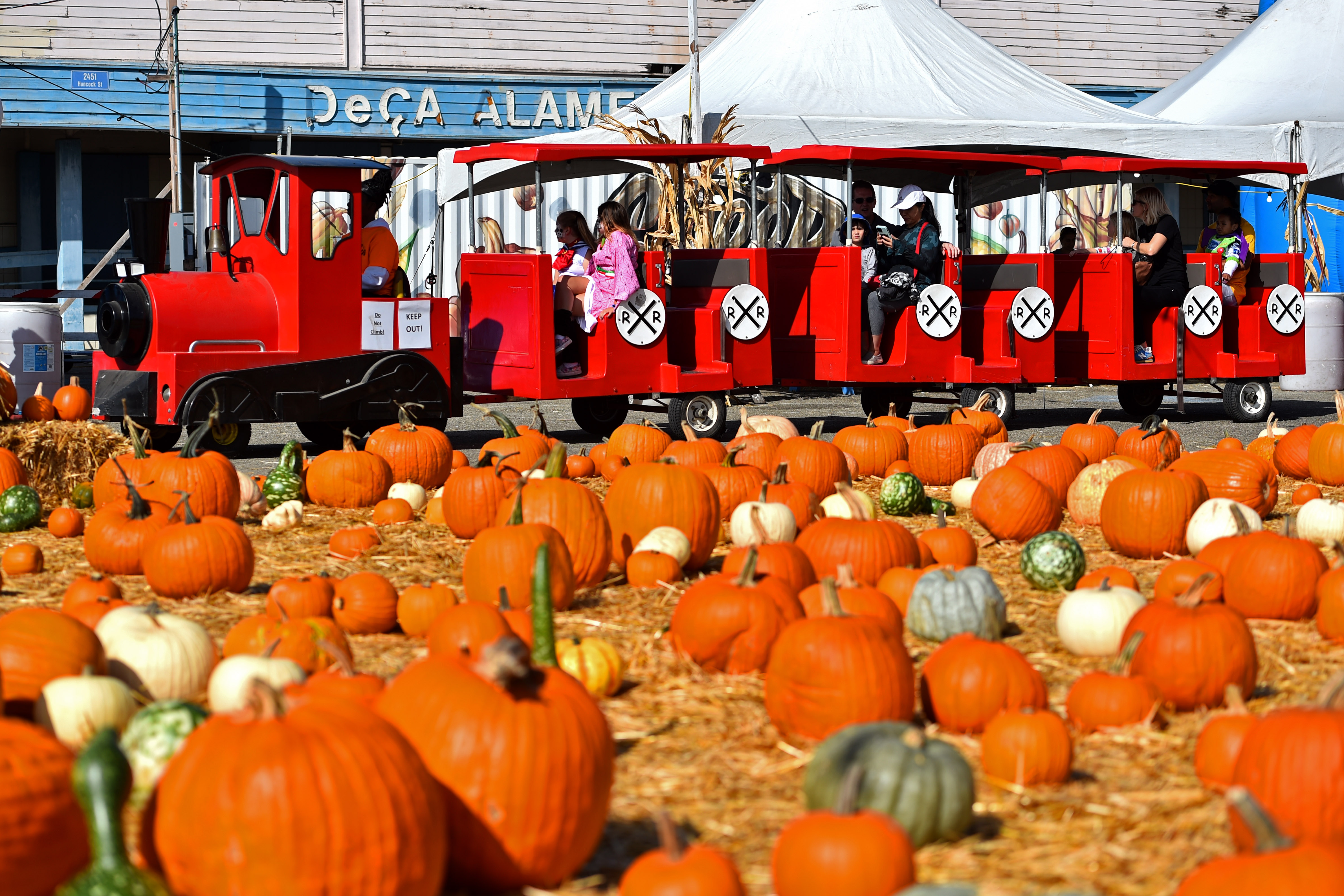 A miniature train zips past a pumpkin patch while at the Alameda Point Pumpkin Farm in Alameda, Calif., on Sunday, Oct. 15, 2023. (Jose Carlos Fajardo/Bay Area News Group)