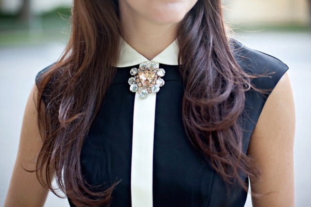 brooch collar dress