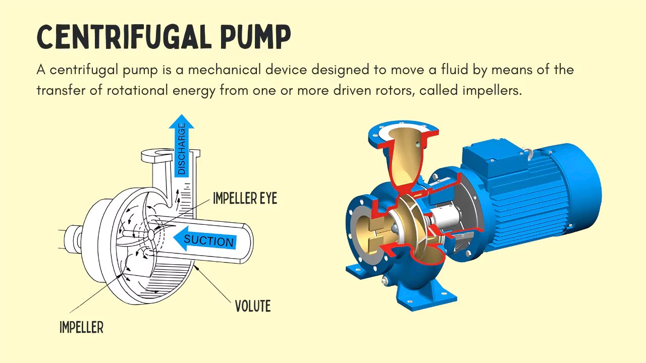 Centrifugal Pump