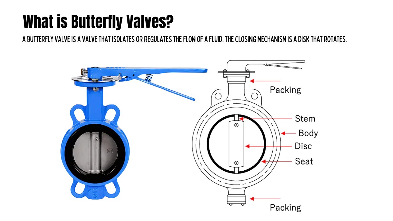 What is Butterfly Valves