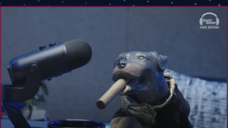 Triumph the Insult Comic Dog Roasts Jon Stewart’s Return to ‘The Daily Show’: ‘What Happened?’ | Video