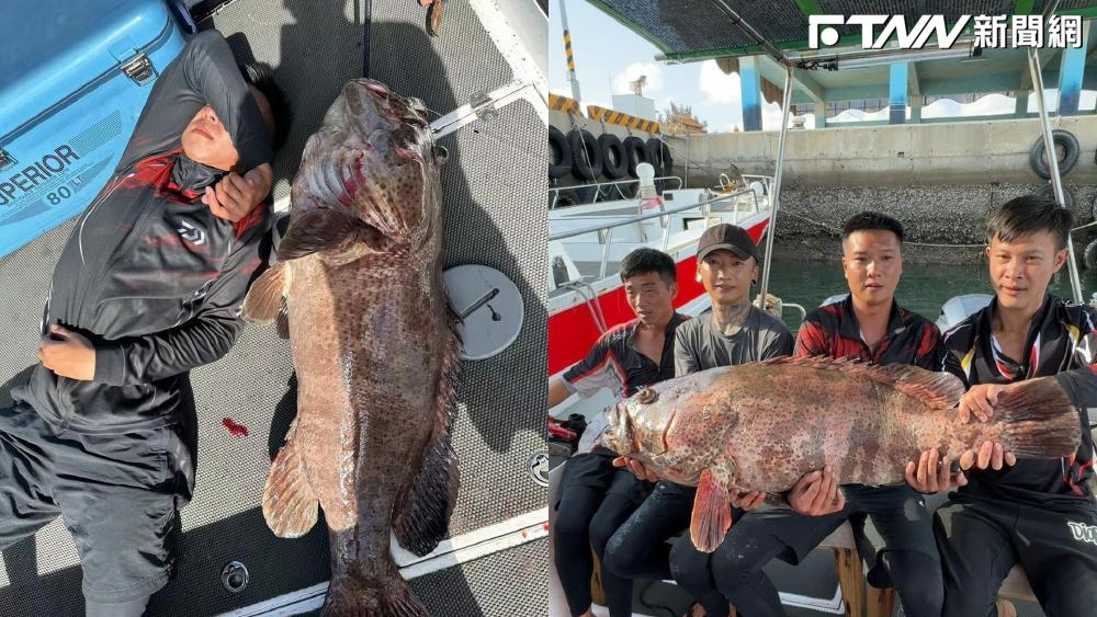 澎湖捕獲超巨石斑魚直逼成人身高。（圖／飛暘88號臉書）