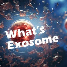 什麼是外泌體 ( exosomes )？對皮膚有何神奇功效？