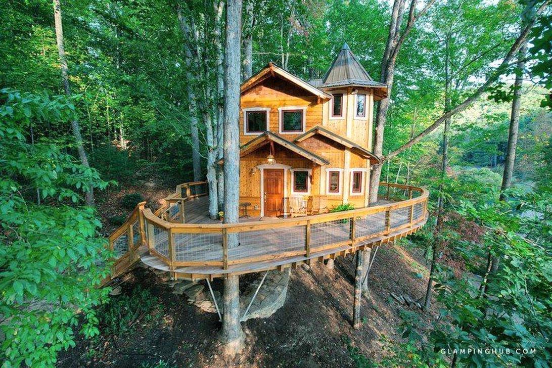 Stunning Tree House Designs You Never Seen Before 08