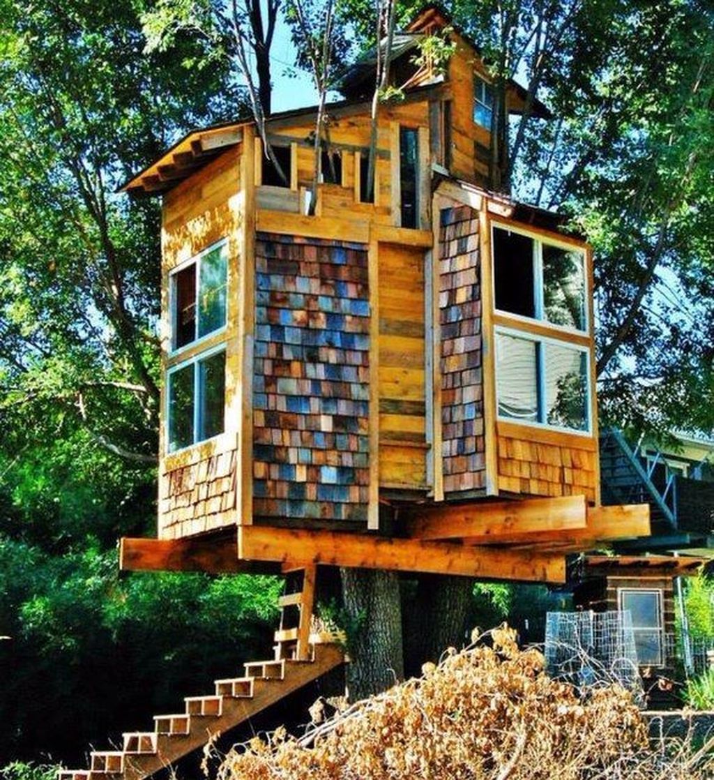 Stunning Tree House Designs You Never Seen Before 09