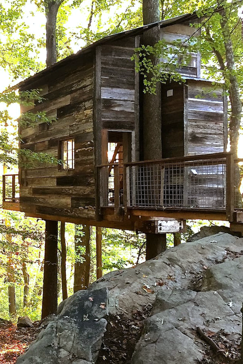 Stunning Tree House Designs You Never Seen Before 10