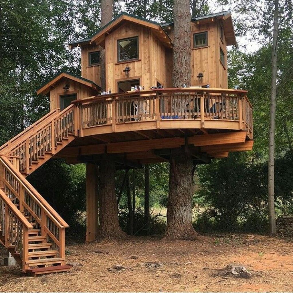 Stunning Tree House Designs You Never Seen Before 13