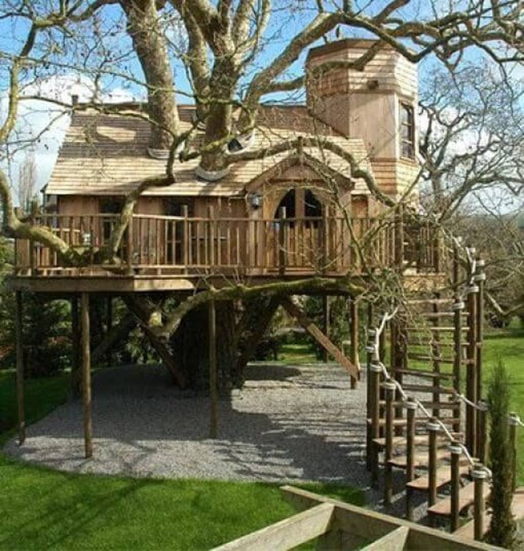 Stunning Tree House Designs You Never Seen Before 17