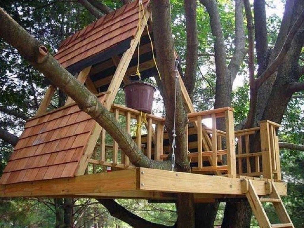 Stunning Tree House Designs You Never Seen Before 24