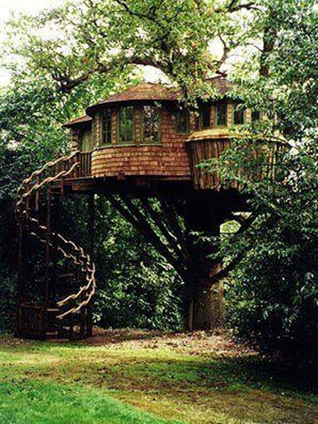 Stunning Tree House Designs You Never Seen Before 28