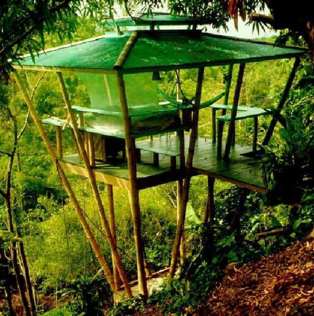 Stunning Tree House Designs You Never Seen Before 34