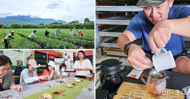 [台東遊程] 鹿野茶文化一日遊 | 紅烏龍體驗，探訪龍田茶金之路