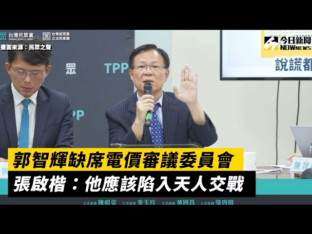 郭智輝缺席電價審議委員會 民眾黨說話了