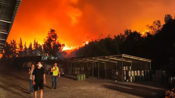 Houses and hotels evacuated in the Selcuk area due to wildfire on Saturday