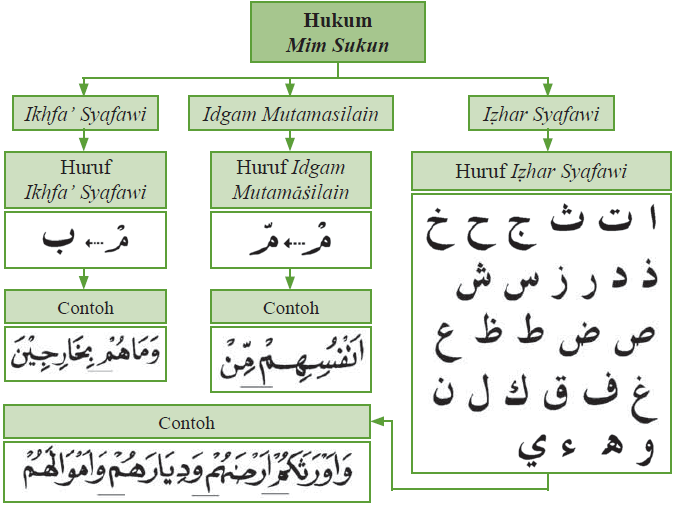 Hukum Bacaan Mim Mati (Contoh Izhar Syafawi, Ikhfa Syafawi, dan Idgam