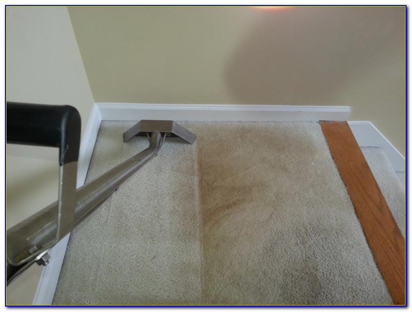 Steam Cleaner Hardwood Floors Safe