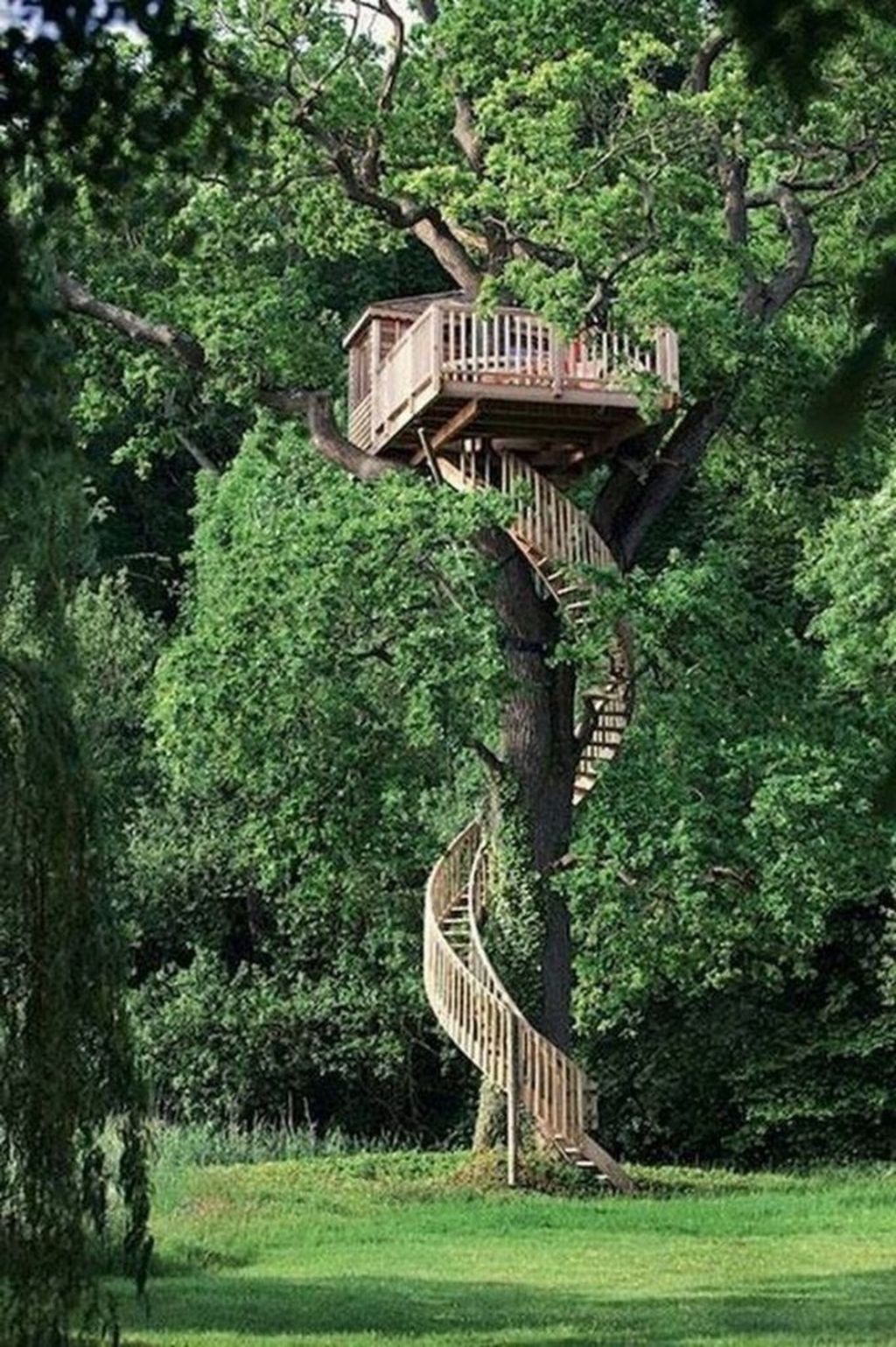 Stunning Tree House Designs You Never Seen Before 05