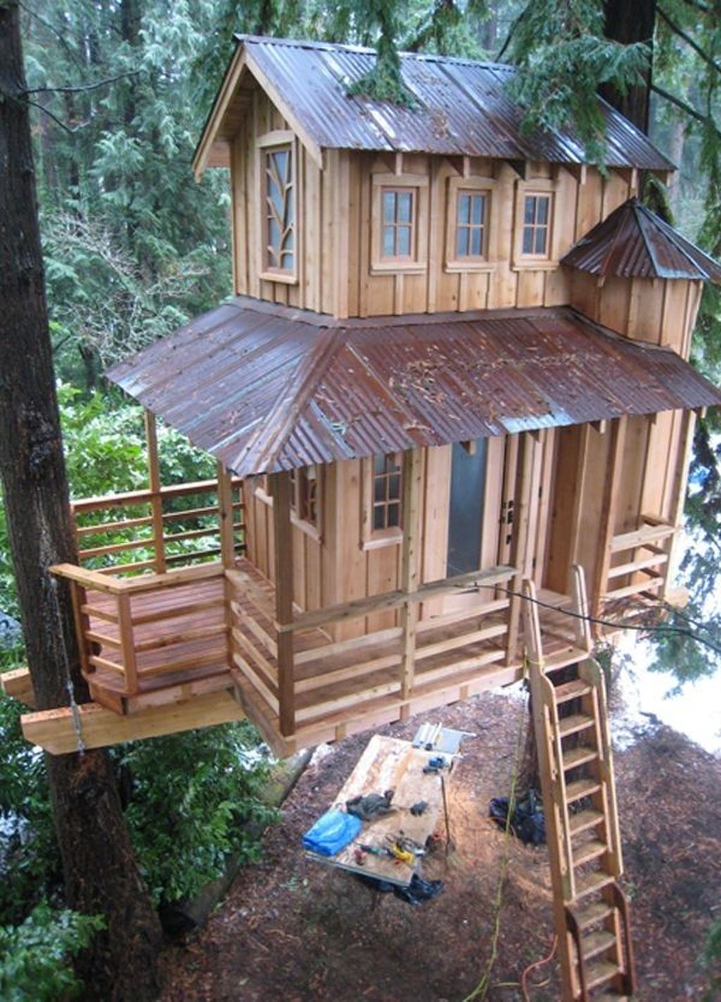 Stunning Tree House Designs You Never Seen Before 33