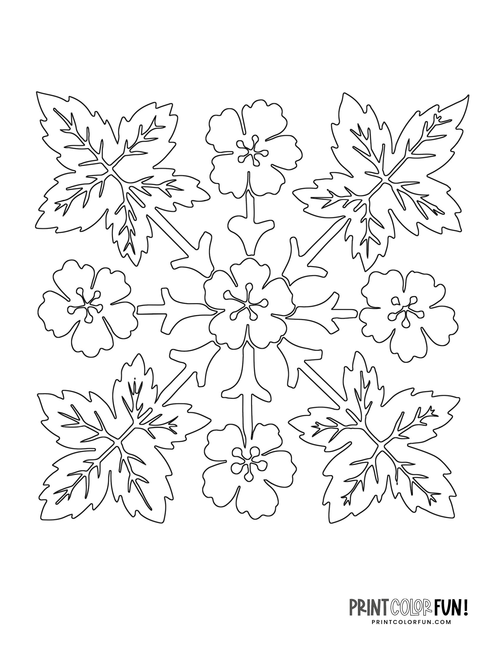 Free Hawaiian quilt patterns to applique or stencil Print Color Fun!