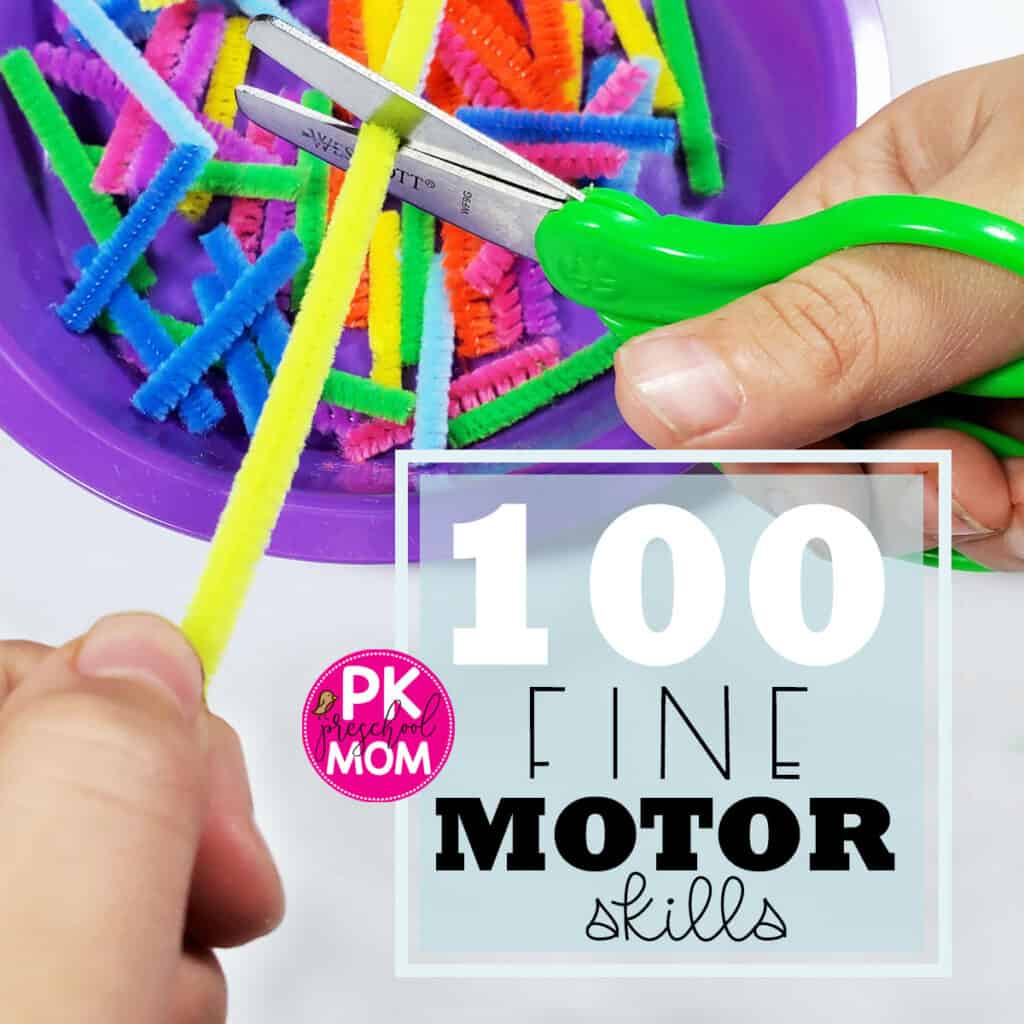 Fine Motor Skills