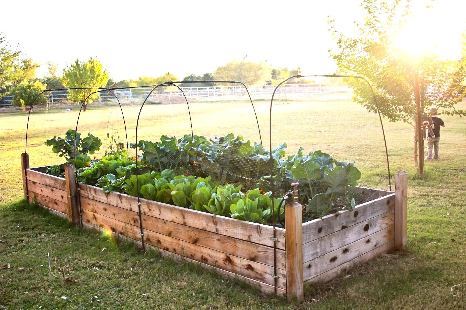 10 Unique Raised Bed Garden Design Ideas 2020