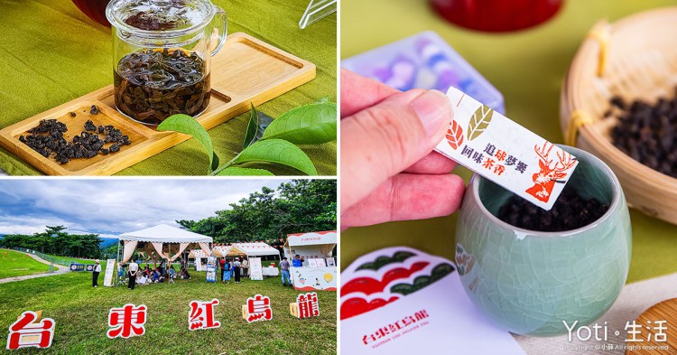 [台東遊程] 追球夢饗·回味茶香 | 紅烏龍封茶與鹿野熱氣球