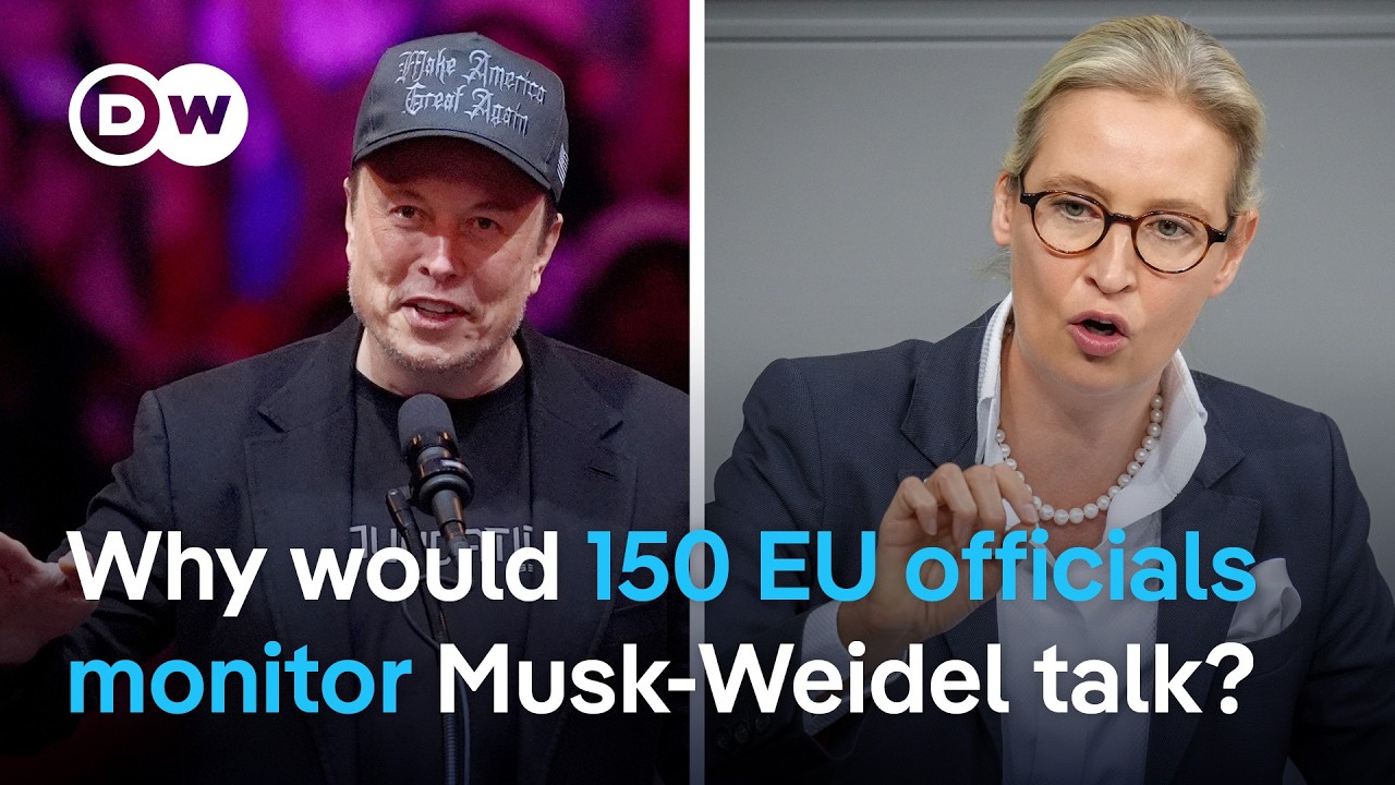 Elon Musk and AfD’s Alice Weidel talk on X | DW Analysis