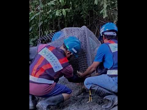 山陀兒颱風，感謝辛苦搶修的水電同仁們！