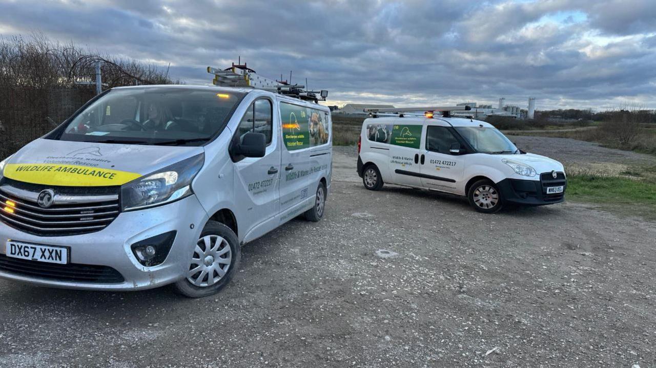 Two silver 'Wildlife Ambulance' vans parked near the coast. You can see a woman sitting in the driver's seat of the van which is closest to the camera.