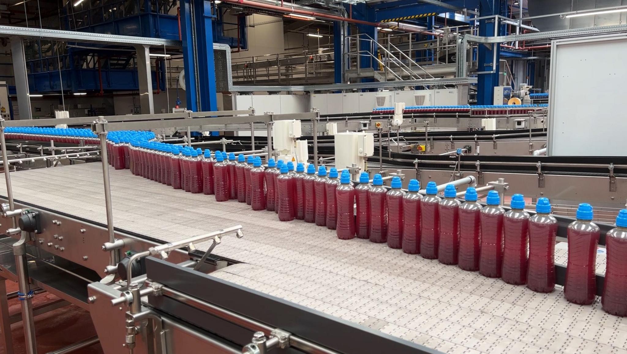 A long line of raspberry Lucozade Sport bottles without labels make their way through a factory on a conveyor belt