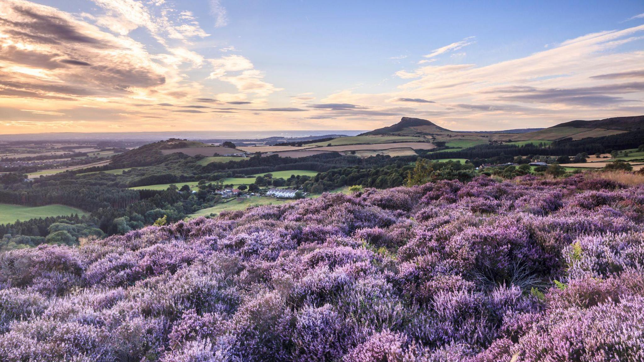 North York Moors National Park