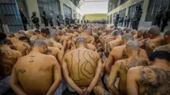 數千名黑幫嫌犯近期被集中轉移到一座巨型監獄中。