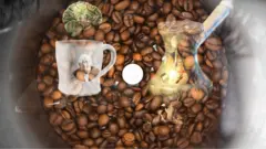 咖啡豆如何影響你的身體和人類歷史？