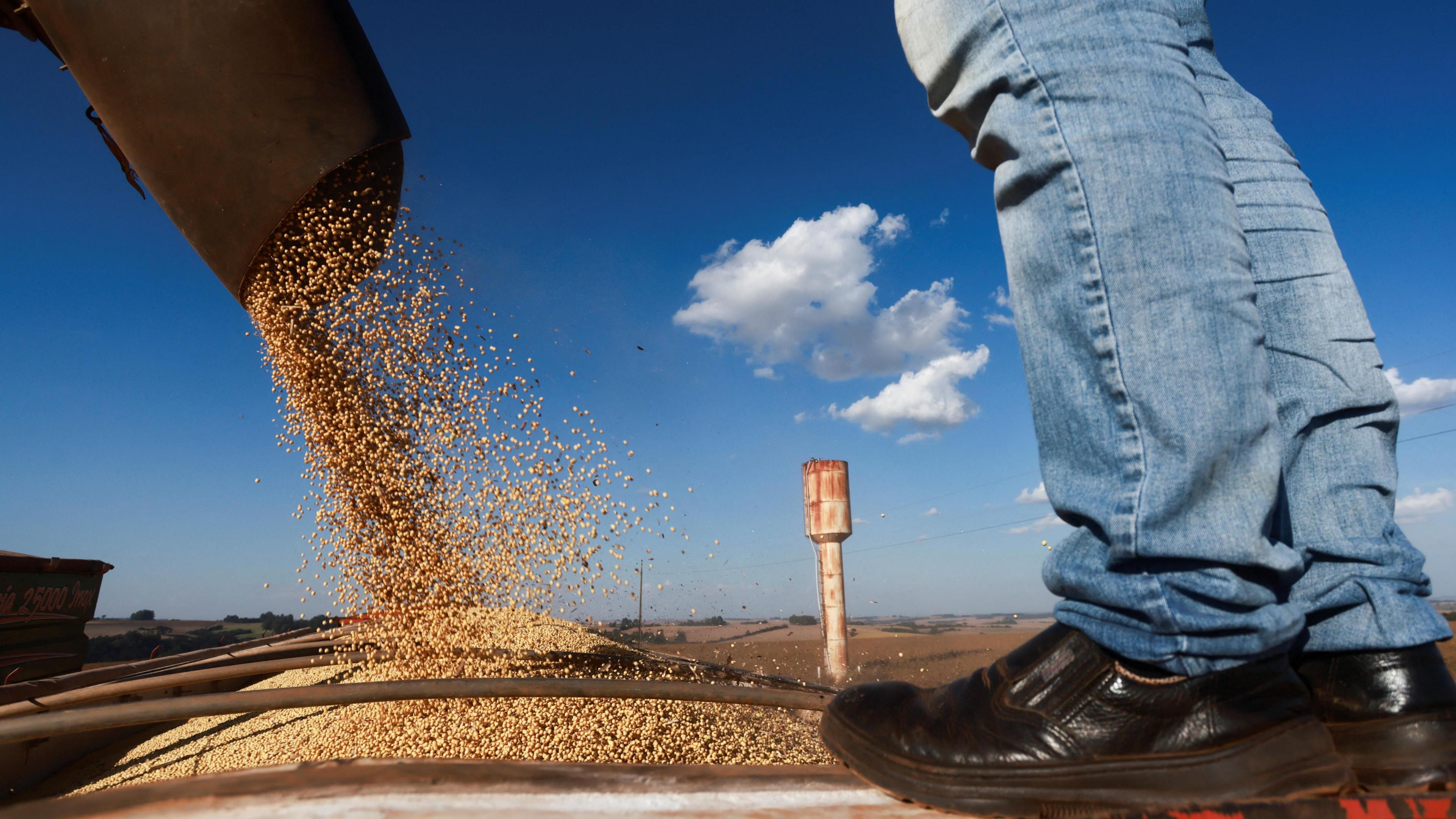 A harvester unloads soybeans into a truck at a farm during a record soybean harvest season in Não-Me-Toque, Rio Grande do Sul, Brazil, 3 April 2024