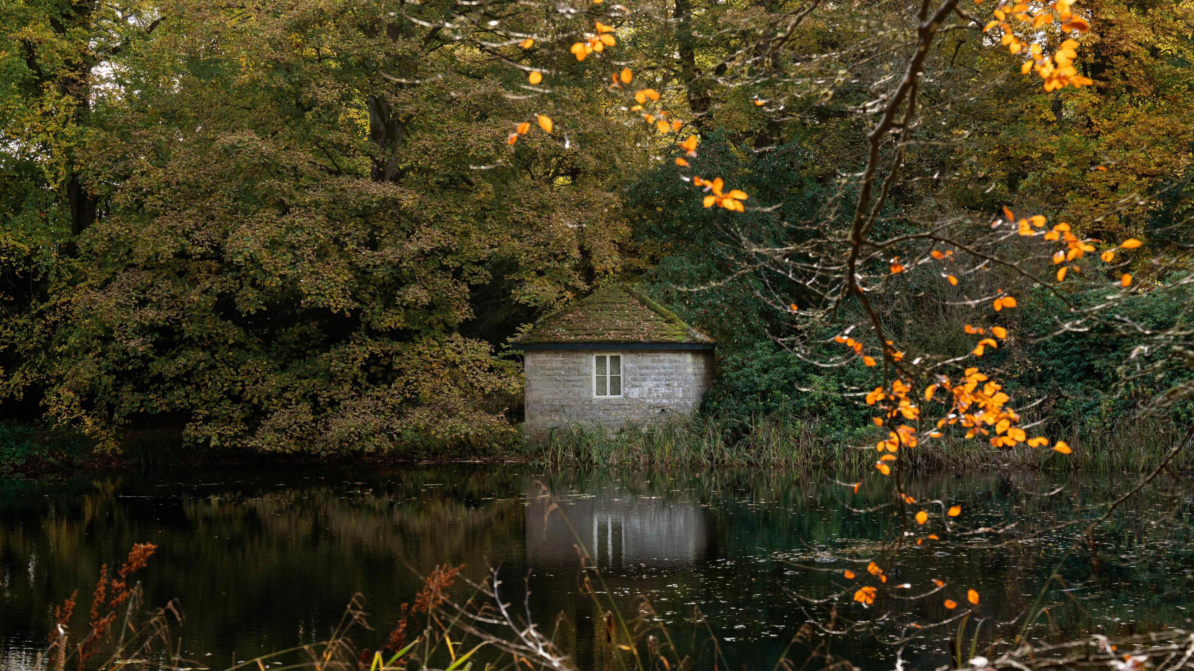 Golden autumn colours at Wallington Estate in Norhumberland 