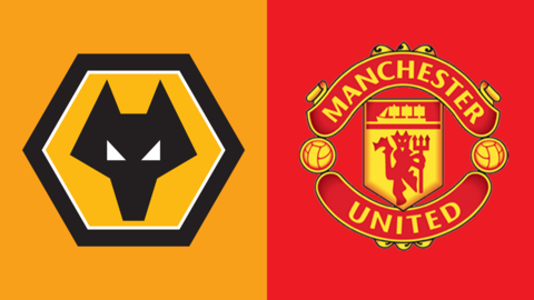 Wolves and Manchester United badges