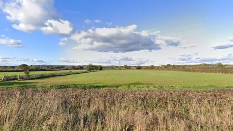 A filed in Cranbrook near Exeter with long grass in the foreground