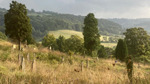 A picturesque view of the valley with an overgrown cemetery in the foreground, stretching away in the distance with a mixture of fields and woodland