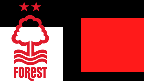 Nottingham Forest badge