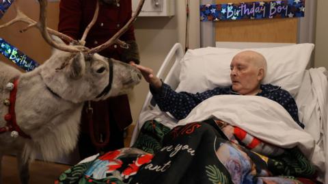 A man with no hair in a hospital bed strokes the nose of a reindeer.